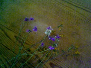 Photo du 49072487-09- à 13.37