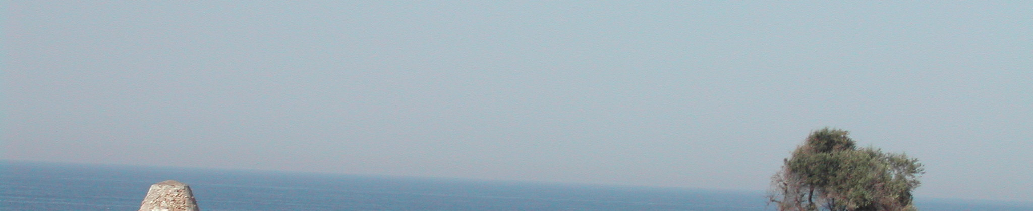 cartoline