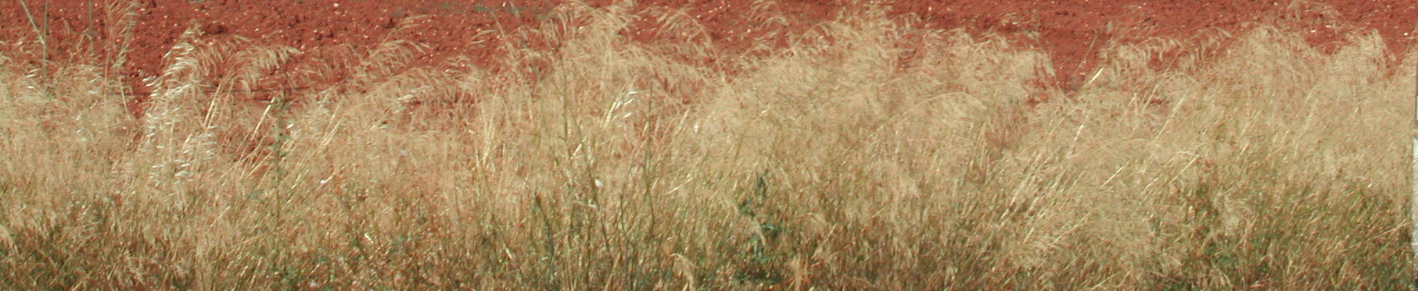 relazioni